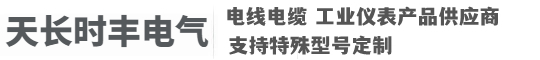 天长市时丰电气有限公司