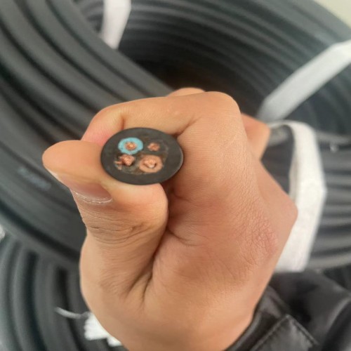 YZW-0.3/0.5KV 4x6中型橡套电缆