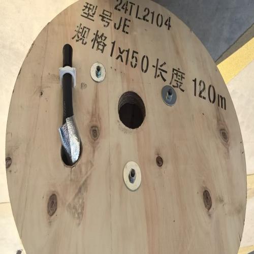 JEH-1KV-185氯磺化电机绕组引接电缆